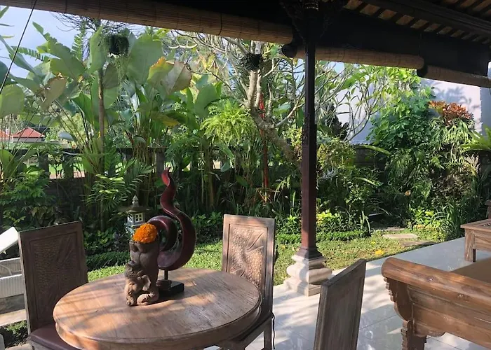 A Lush Tropical In Rice Fields