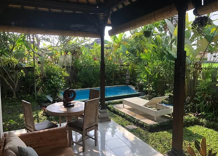A Lush Tropical In Rice Fields *